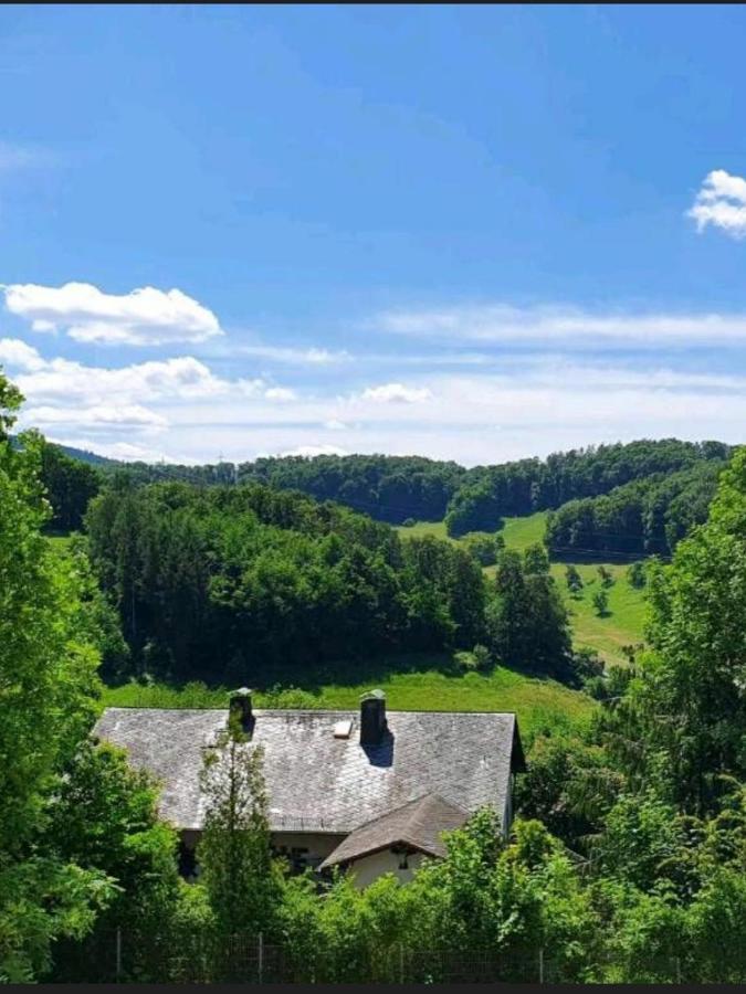 Odenwald-Lodge Mit Infrarotsauna Und E-Ladestation Im Naturpark Odenwald "Haus Himmelblau" Reichelsheim Eksteriør billede