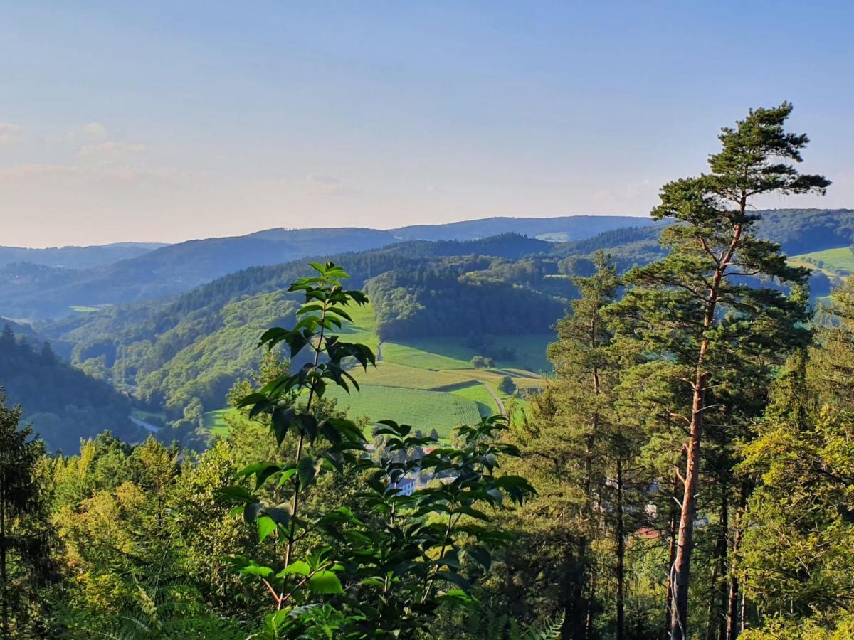 Odenwald-Lodge Mit Infrarotsauna Und E-Ladestation Im Naturpark Odenwald "Haus Himmelblau" Reichelsheim Eksteriør billede