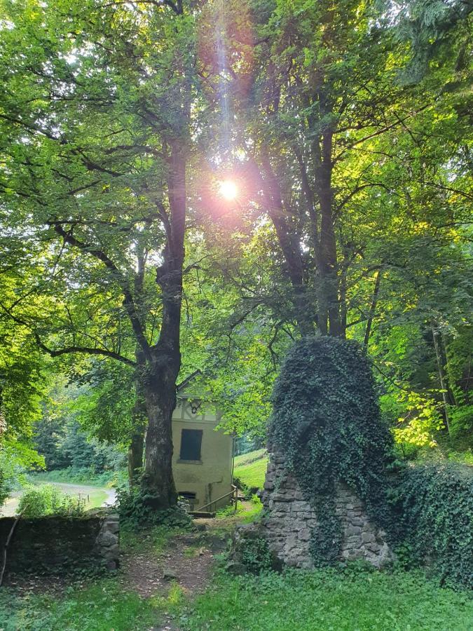 Odenwald-Lodge Mit Infrarotsauna Und E-Ladestation Im Naturpark Odenwald "Haus Himmelblau" Reichelsheim Eksteriør billede