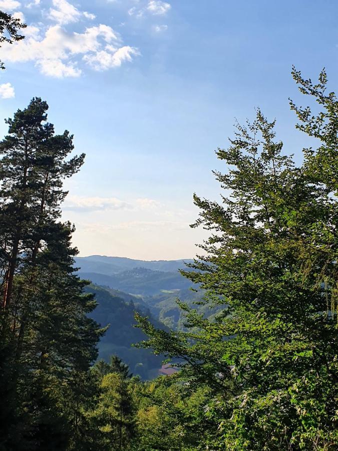 Odenwald-Lodge Mit Infrarotsauna Und E-Ladestation Im Naturpark Odenwald "Haus Himmelblau" Reichelsheim Eksteriør billede