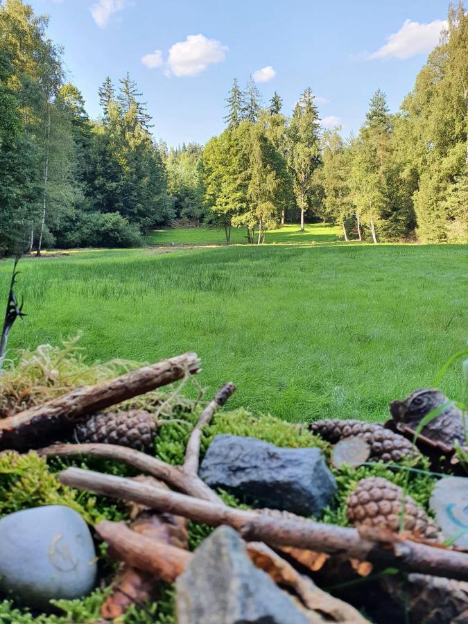 Odenwald-Lodge Mit Infrarotsauna Und E-Ladestation Im Naturpark Odenwald "Haus Himmelblau" Reichelsheim Eksteriør billede