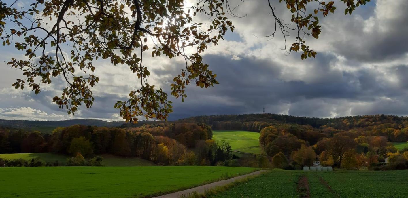 Odenwald-Lodge Mit Infrarotsauna Und E-Ladestation Im Naturpark Odenwald "Haus Himmelblau" Reichelsheim Eksteriør billede