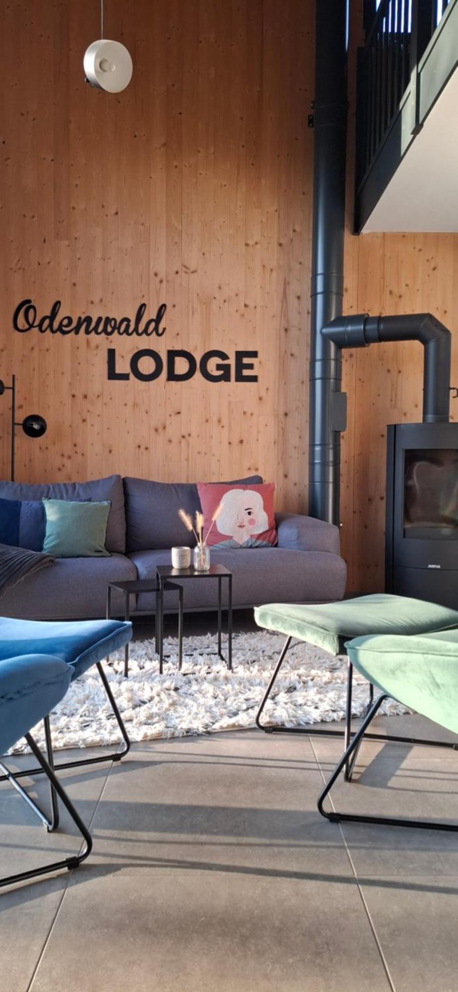 Odenwald-Lodge Mit Infrarotsauna Und E-Ladestation Im Naturpark Odenwald "Haus Himmelblau" Reichelsheim Eksteriør billede